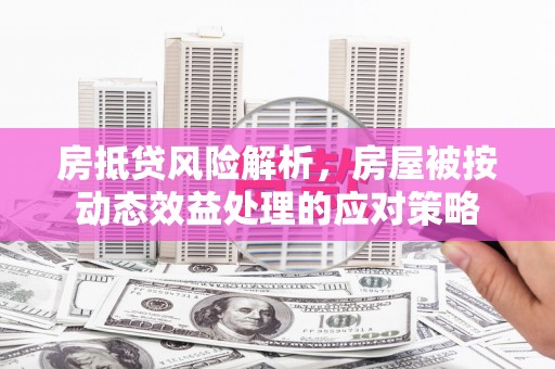 称多房抵贷风险解析，房屋被按动态效益处理的应对策略