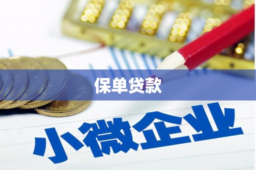 普陀保单贷款