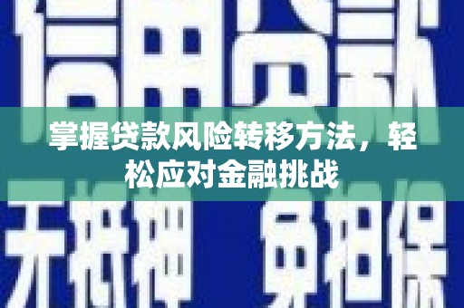 宣州掌握贷款风险转移方法，轻松应对金融挑战