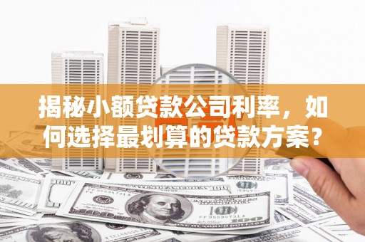 江汉揭秘小额贷款公司利率，如何选择最划算的贷款方案？