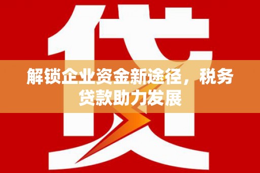 芦山解锁企业资金新途径，税务贷款助力发展