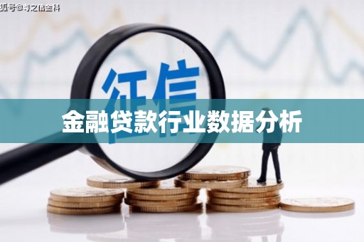 广阳金融贷款行业数据分析