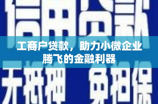 丹凤工商户贷款，助力小微企业腾飞的金融利器