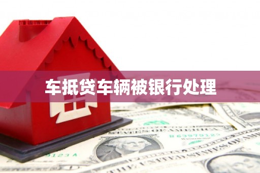 白云车抵贷车辆被银行处理