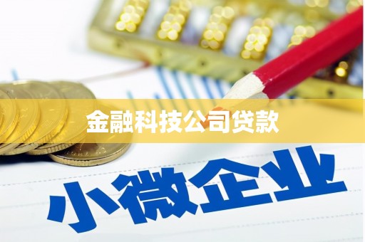 伊川金融科技公司贷款