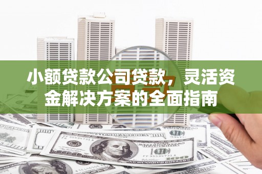 林甸小额贷款公司贷款，灵活资金解决方案的全面指南