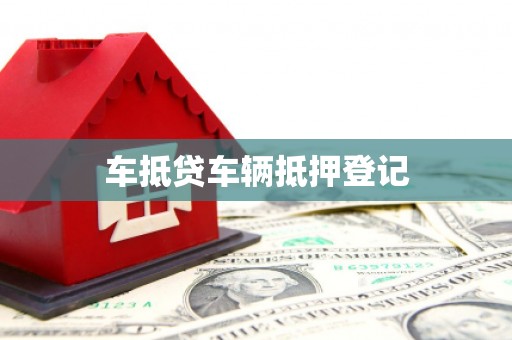 岑溪车抵贷车辆抵押登记