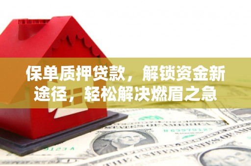 涟源保单质押贷款，解锁资金新途径，轻松解决燃眉之急