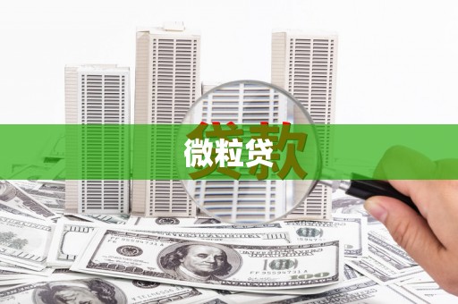 龙潭微粒贷