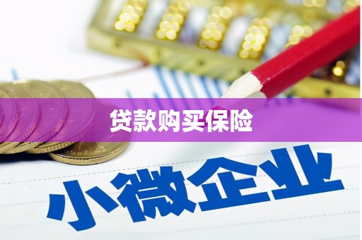 潜江贷款购买保险