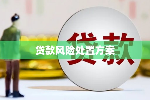 青山贷款风险处置方案