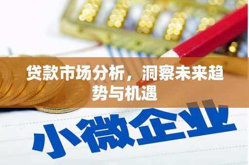 广平贷款市场分析，洞察未来趋势与机遇