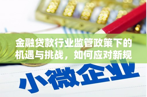 龙亭金融贷款行业监管政策下的机遇与挑战，如何应对新规？