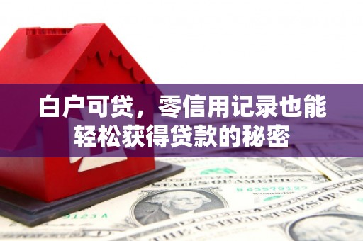 乐业白户可贷，零信用记录也能轻松获得贷款的秘密