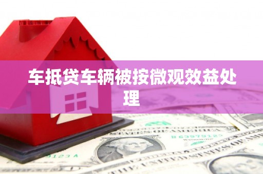 荔浦车抵贷车辆被按微观效益处理