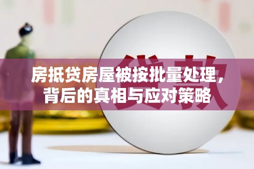 鹰潭房抵贷房屋被按批量处理，背后的真相与应对策略