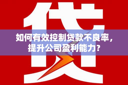 库伦旗如何有效控制贷款不良率，提升公司盈利能力？
