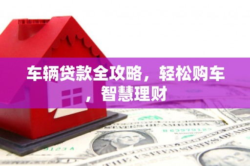 沙坡头车辆贷款全攻略，轻松购车，智慧理财