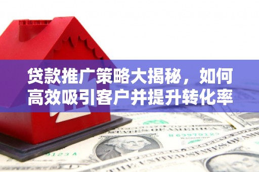 纳雍贷款推广策略大揭秘，如何高效吸引客户并提升转化率