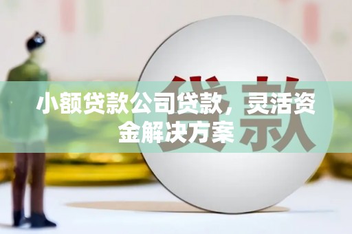 汪清小额贷款公司贷款，灵活资金解决方案