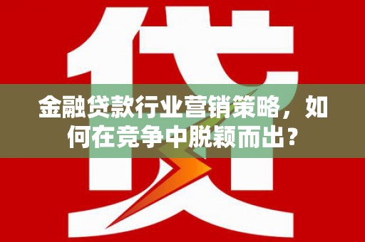 肃南金融贷款行业营销策略，如何在竞争中脱颖而出？