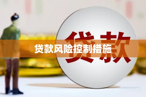 肃南贷款风险控制措施