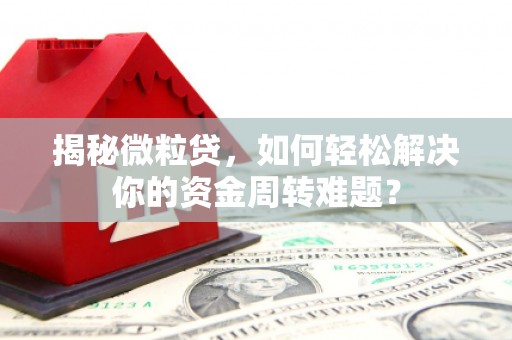原州揭秘微粒贷，如何轻松解决你的资金周转难题？