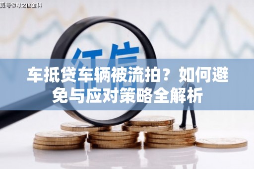 资阳车抵贷车辆被流拍？如何避免与应对策略全解析