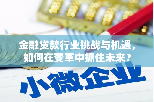 洪雅金融贷款行业挑战与机遇，如何在变革中抓住未来？