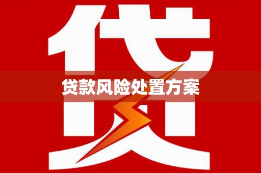 周至贷款风险处置方案
