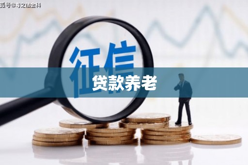 高港贷款养老