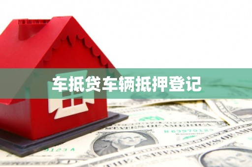 罗平车抵贷车辆抵押登记
