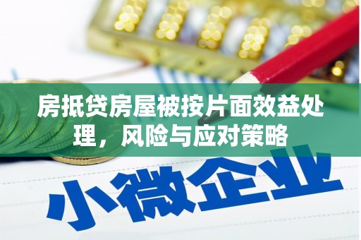 高港房抵贷房屋被按片面效益处理，风险与应对策略