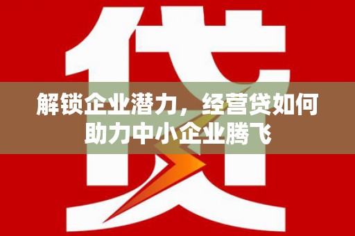 阿坝解锁企业潜力，经营贷如何助力中小企业腾飞