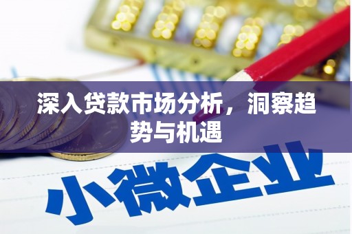 横沥深入贷款市场分析，洞察趋势与机遇