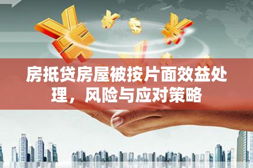 堆龙德庆房抵贷房屋被按片面效益处理，风险与应对策略
