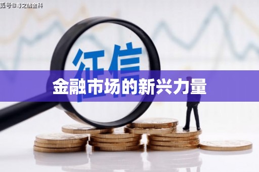 泊头金融市场的新兴力量
