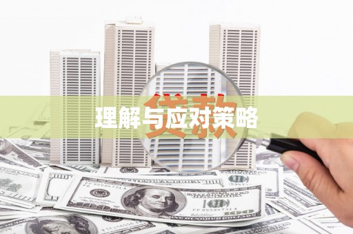北流理解与应对策略