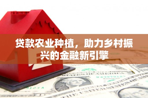博野贷款农业种植，助力乡村振兴的金融新引擎