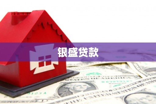 博野银盛贷款