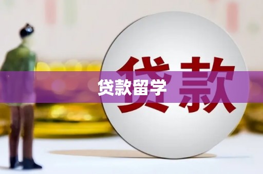 荔波贷款留学