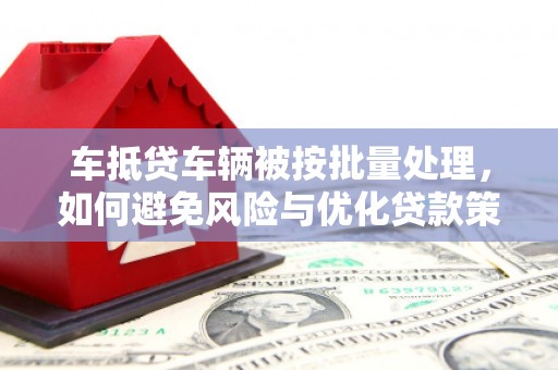荔波车抵贷车辆被按批量处理，如何避免风险与优化贷款策略