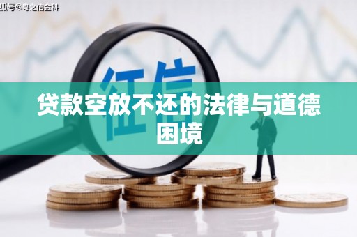 泰州贷款空放不还的法律与道德困境