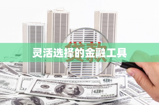 振安灵活选择的金融工具