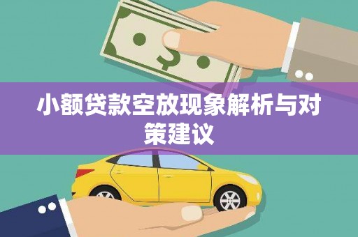 平湖小额贷款空放现象解析与对策建议