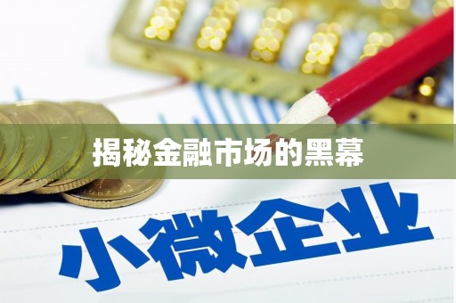阳城揭秘金融市场的黑幕