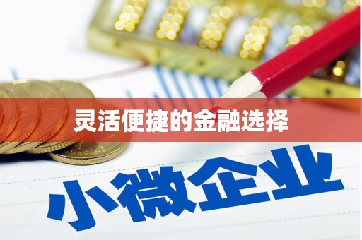 南关灵活便捷的金融选择