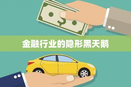 维西金融行业的隐形黑天鹅