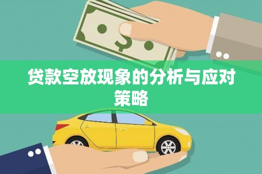 维西贷款空放现象的分析与应对策略