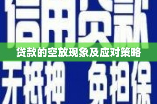 雷州贷款的空放现象及应对策略